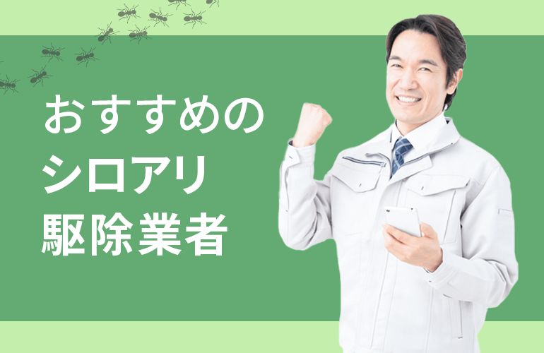 シロアリ駆除業者のおすすめランキング7選！大手業者の費用を徹底比較 | プロの逸品