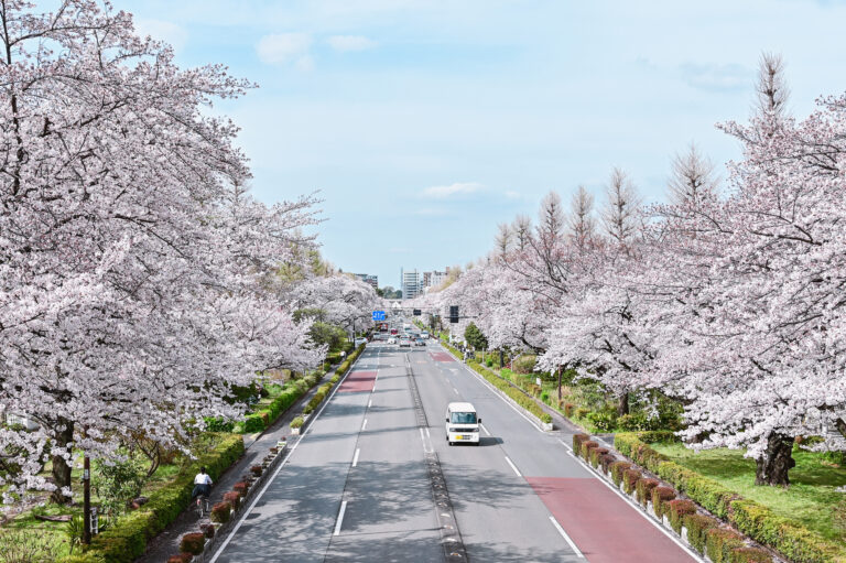 22年3月更新 注文住宅を建てるならここ 国立市でおすすめのハウスメーカー 工務店10選 おうちパレット 全国のハウスメーカー情報サイト