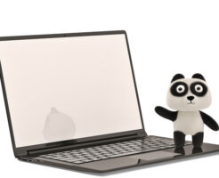 パンダアップデート